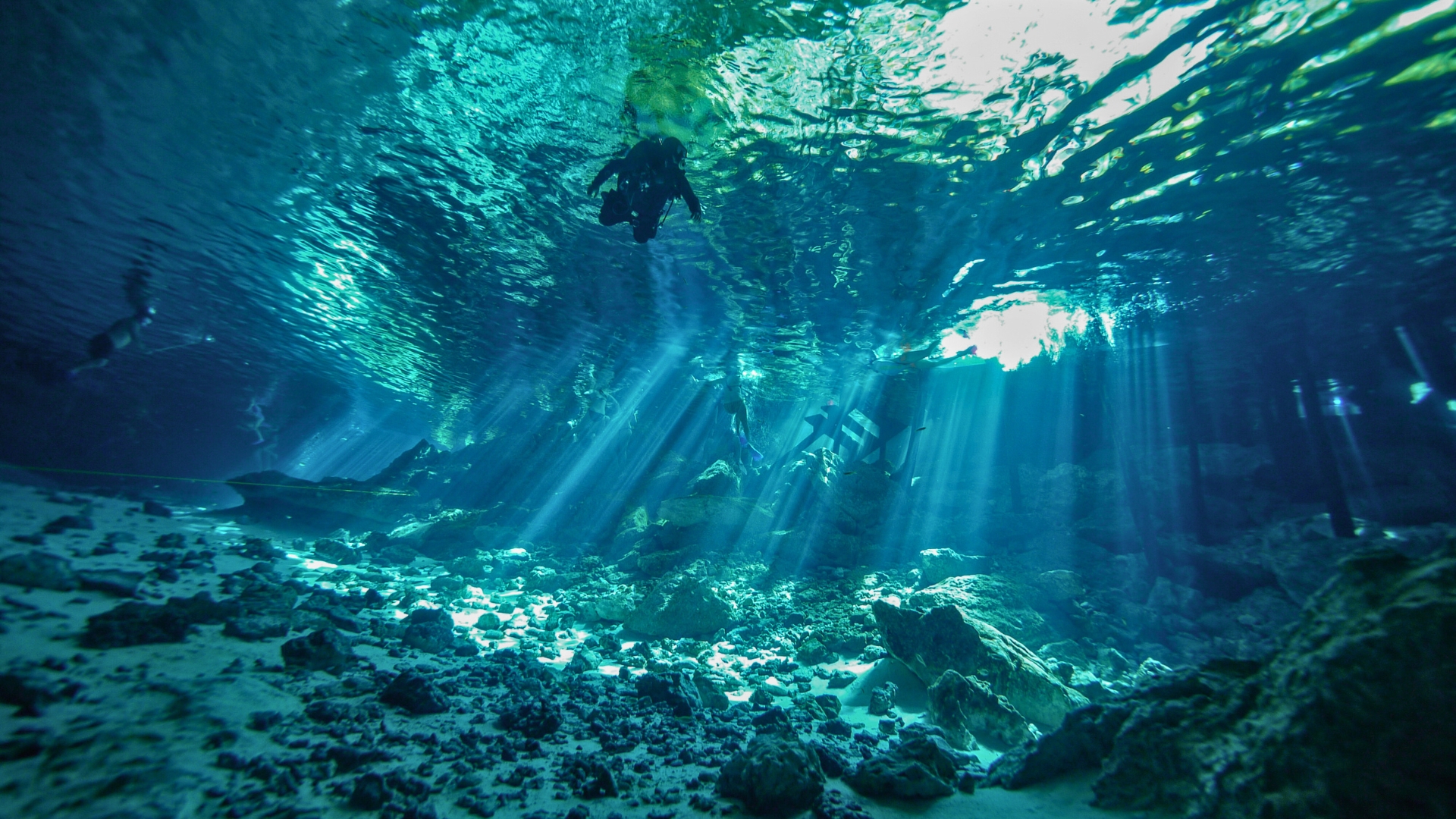 Cenote diving in Cancun, Mexico