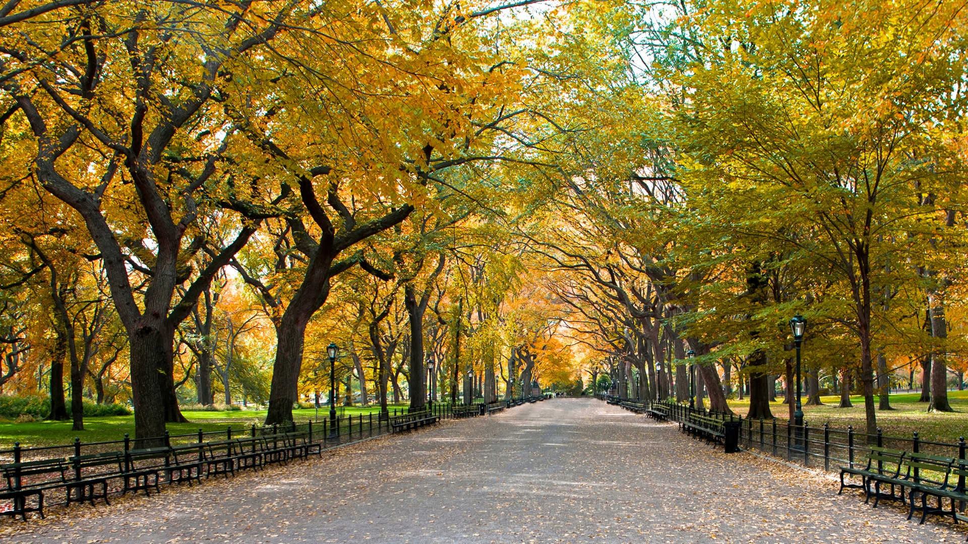 Central Park, New York