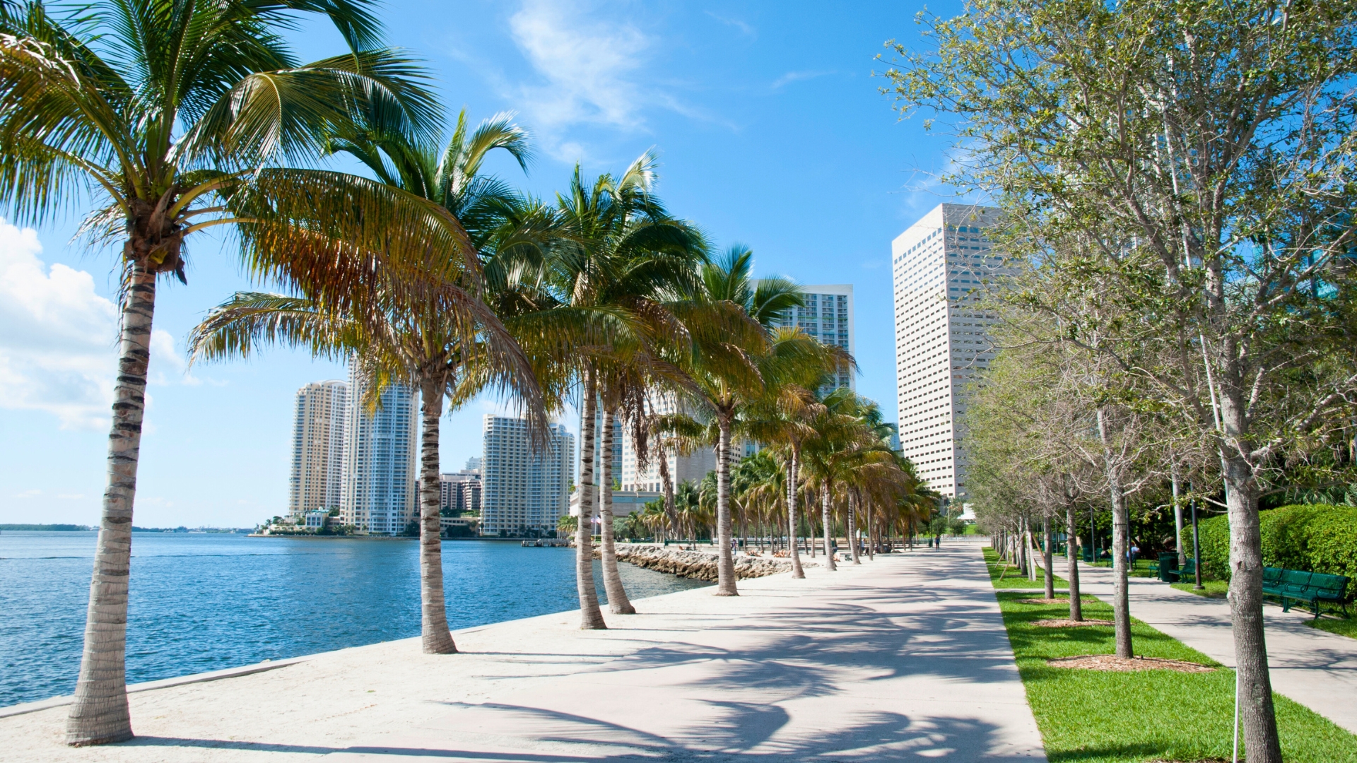 Miami Waterfront Walkway