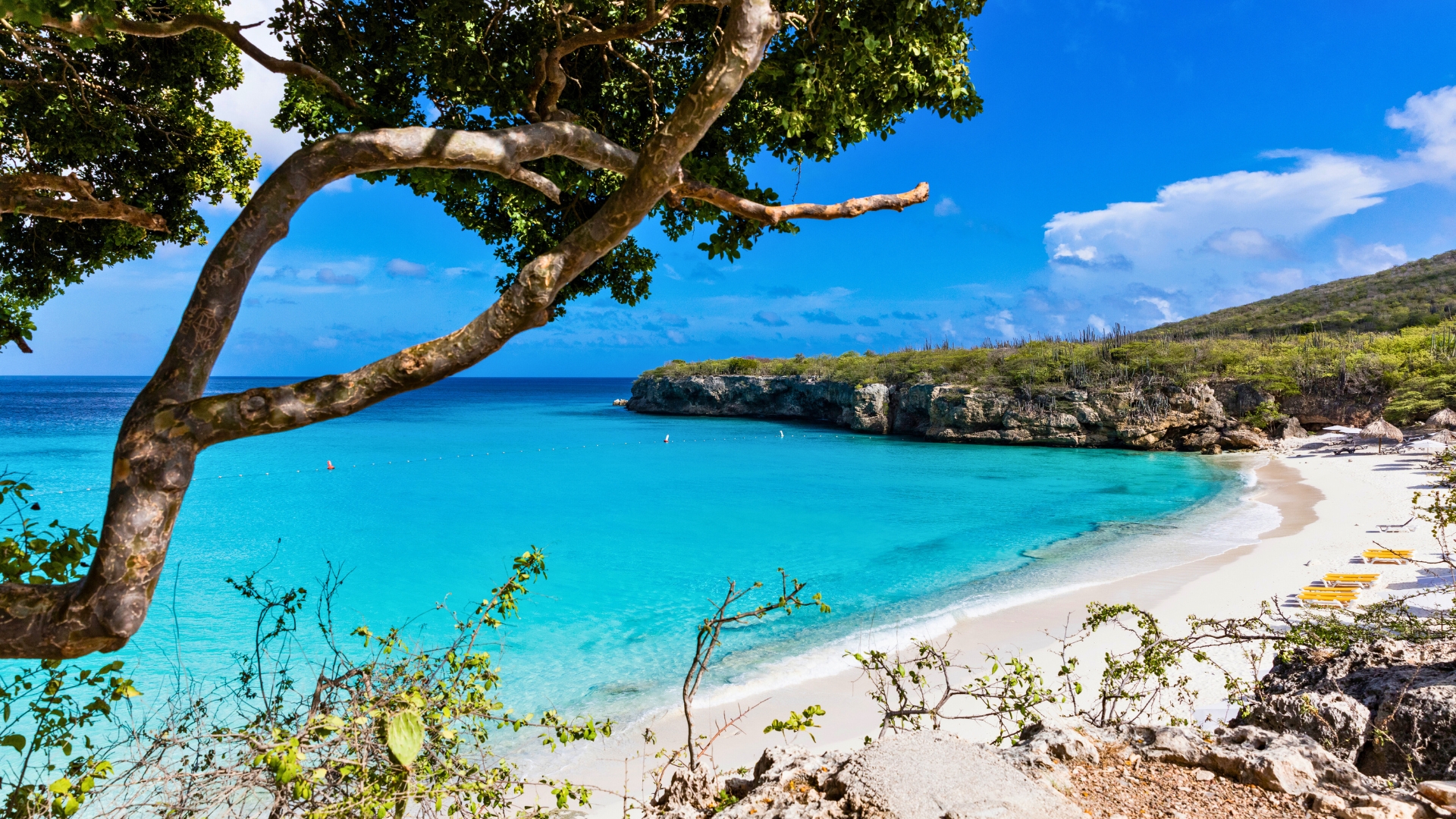 The pristine Grote Knip beach on tropical Curacao